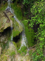 Travertine waterfall covered with mosses, dark cavities, Saint Antonin Noble Val, France