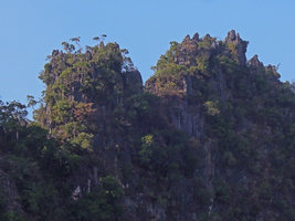 Trees anchored in cracks along a limestone hill, Khao Sok, Thailand