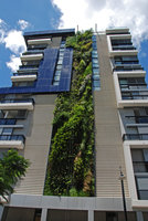 Trio Vertical Garden, plants covering the grid after some months of growth, Sydney