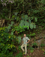 Patrick Blanc under huge Drynaria ferns growing on vertical shaded limestone cliff, with long pendant glaucous fronds, maybe a form of Drynaria quercifolia, Payakumbuh, West Sumatra, Dec. 2016