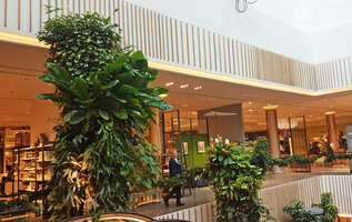 Upper parts of the Green Columns by Patrick Blanc, Robinsons, Dubai