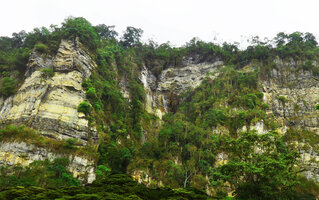 Vertical forest on karst cliff, Chicaque, Soacha, Colombia
