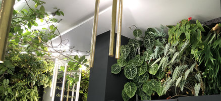 Vertical Garden and Lianas climbing along cables under the fluorescent light ceiling, Yves Rocher Concept Store, Bd Haussmann, Paris
