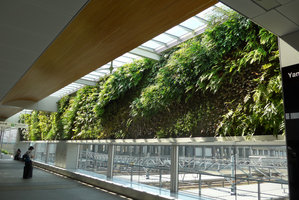 Vertical garden by Patrick Blanc at the Shinkansen station covered by native plant species, one year after plant installation, Yamaguchi, Japan