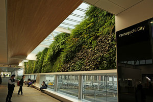 Vertical garden by Patrick Blanc in the Shinkansen station, Yamaguchi, Japan