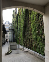 Vertical Garden by Patrick Blanc, 11 years after its creation, rue d&#039;Alsace, Paris, March 2019
