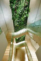 Living Canyon vertical garden by Patrick Blanc at Ginza Six, Tokyo