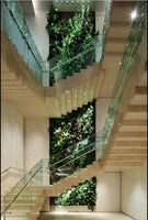 Living Canyon vertical garden by Patrick Blanc at Ginza Six, Tokyo, photo Kozo Takayama