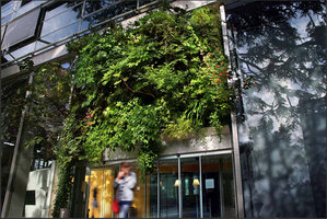 Vertical Garden by Patrick Blanc at the Cartier Foundation, Paris, May 2008, Photo Véronique Lalot