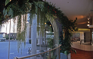 Vertical Garden by Patrick Blanc at the exhibition Le Temps Deborde, Forum Culturel Le Blanc Mesnil, France, 1999