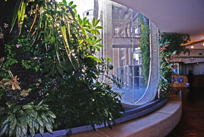 Vertical Garden by Patrick Blanc, indoor and part of outdoor walls, Le Blanc Mesnil, 1999, France
