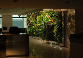 Vertical Garden by Patrick Blanc in Ronald Lu office, Hong Kong