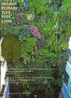 Vertical Garden by patrick Blanc, top sun exposed part, Pershing Hall, Paris