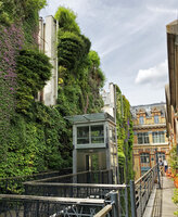 Vertical Garden by Patrick Blanc, view from the private appartments, Rue d&#039;Alsace, Paris,  June 2019