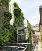 Vertical Garden by Patrick Blanc, view from the private appartments, Rue d&#039;Alsace, Paris,  June 2019