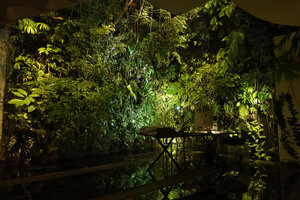 Vertical garden, Christarium and Patrick Blanc desk at night