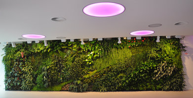Vertical Garden, front view, Internet Support, Bielefeld, Germany