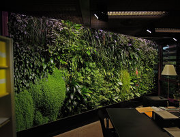 Vertical garden in an office, Quai Branly Museum