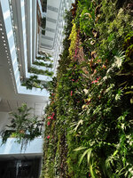 Vertical Garden in atrium, Kawamura Denki, Nagoya