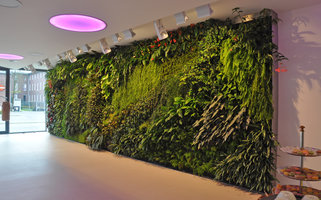 Vertical Garden, Internet Support, Bielefeld, Germany