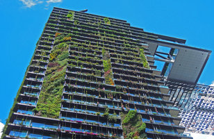 Vertical Gardens by Patrick Blanc at the top of One Central Park Tower, Sydney
