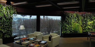 Vertical Gardens in the President Office, Quai Branly Museum, Dec. 2012