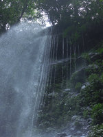 Waterfall and water threads along the roots, Tomohon, Sulawesi