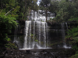 Waterfall in forest, Mount Field, Tasmania
