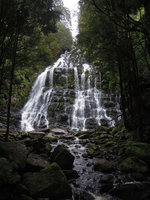 Waterfall in forest, Queenstown, Tasmania