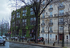 Winter rain and green at the Quai Branly Museum , Dec. 2012