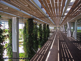 Wooden ceiling and Green Columns with plant selection by Patrick Blanc at the PAMM Museum, Miami, July 2016