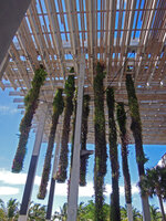 Wooden ceiling and green hanging columns at the PAMM Museum, Miami, July 2016