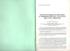 Blanc P. et Andraos K., 1982, Etude microscopique des phenomenes de ramification chez Piper unguiculatum Ruiz et Pav. (Piperaceae), Revue generale de botanique, 89, 193-211