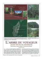 Blanc Patrick, A. Hladik and C.M. Hladik - 2001-  Arbre Voyageur, Diversité, Hommes et Plantes, 40, 39-47