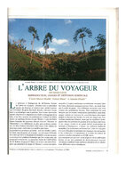 Hladik C. M., P. Blanc and A. Hladik, 2002 - Arbre Voyageur, Usages et Diffusion - Hommes et Plantes, 41, 18-27
