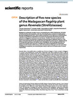 Haevermans T., Hladik A., Hladik C. M., Razanatsoa J., Haevermans A., Jeannoda V. and P. Blanc, 2021 - .Description of five new species of the Madagascan flagship plant genus Ravenala, Strelitziaceae, Nature Scientific Reports - 11, 1 - 14
