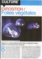 Direct Soir, Jan. 2007, Patrick Blanc Folies Végétales, Espace EDF Electra