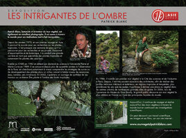 Les Intrigantes de l&#039;Ombre