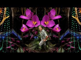 FIELD TRIP WITH PATRICK BLANC IN INDIA - WESTERN GHATS