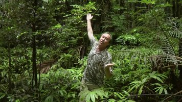 Field trip with Patrick Blanc in New Zealand (Chapter 1 : Northern Island)