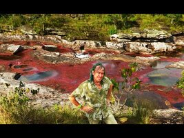 FIELD TRIP WITH PATRICK BLANC IN COLOMBIA - CAÑO CRISTALES