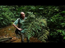 FIELD TRIP WITH PATRICK BLANC IN ECUADOR - MASHPI CLOUD FOREST