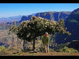 FIELD TRIP WITH PATRICK BLANC IN ETHIOPIA - NORTHERN PART