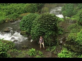 FIELD TRIP WITH PATRICK BLANC - JAVA, Part 1