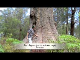 Field trip in Western Australia