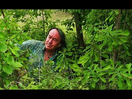 FIELD TRIP WITH PATRICK BLANC IN TANZANIA - PART 1