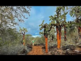 FIELD TRIP WITH PATRICK BLANC IN GALAPAGOS