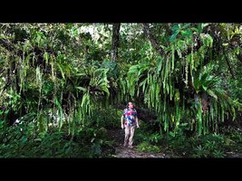 FIELD TRIP WITH PATRICK BLANC IN SERAM LOWLANDS, MOLUCCAS, INDONESIA