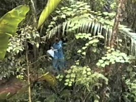 Ravenala Field Trip , Madagascar