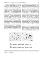 Botanical Studies (2011) vol 52 , Begonia blancii, publication, avril 2011